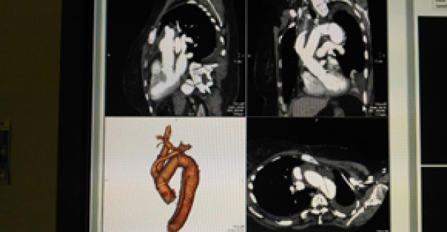 відділення (15)