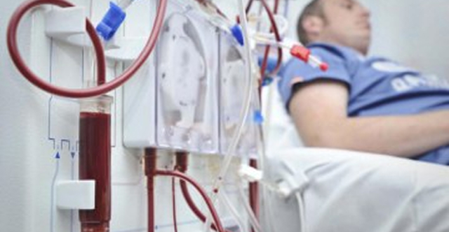 відділення (19)