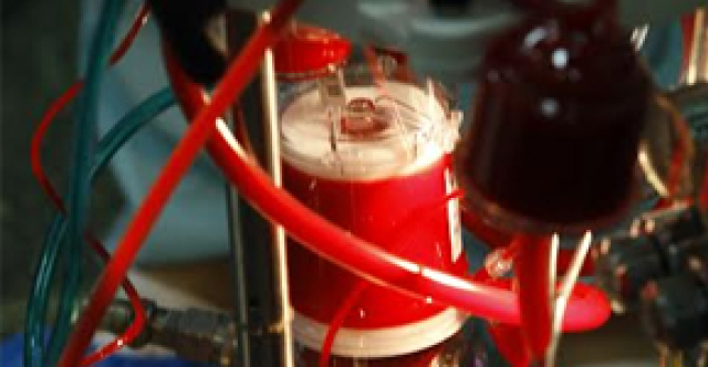 відділення (6)