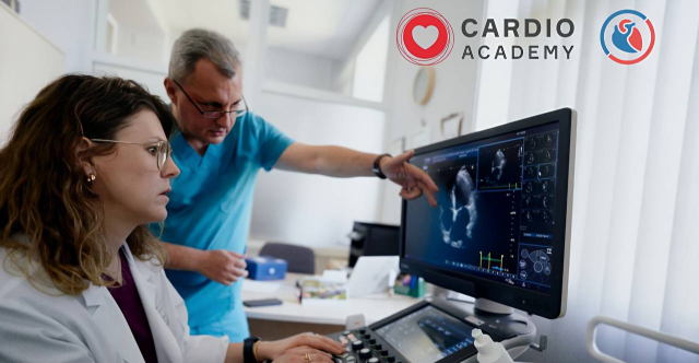 Новость 640_332 (4)