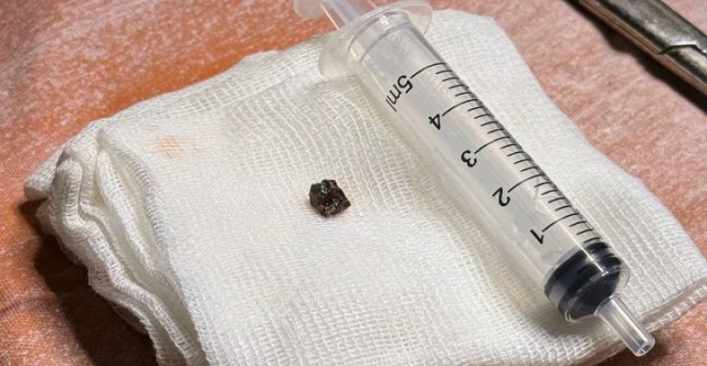 Новость 640_332